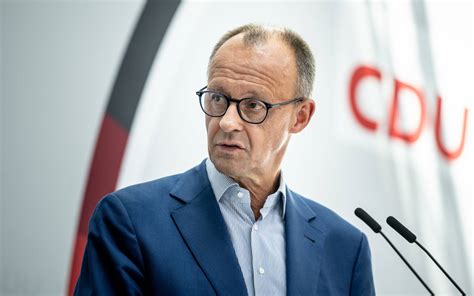 friedrich merz afd